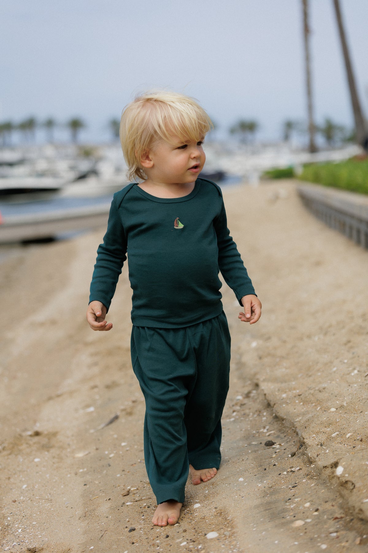 The Sailboat Set in Pine